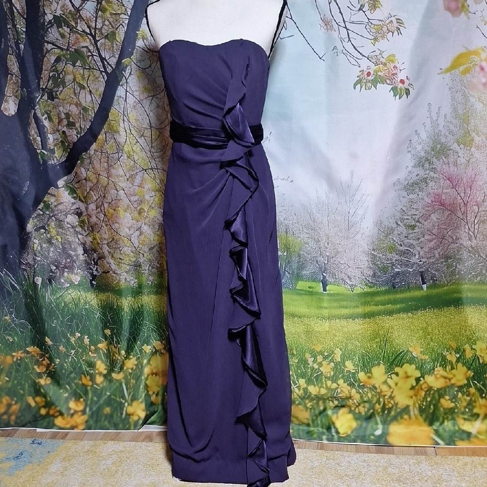 David's Bridal Strapless Gown in Deep Purple